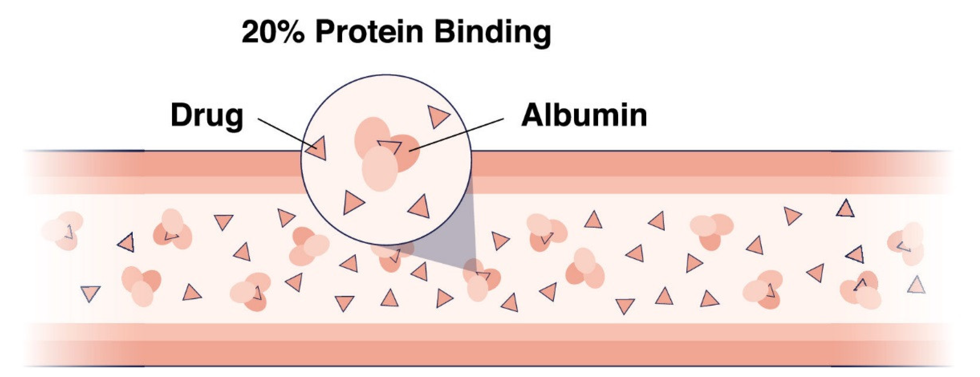 albumin binding protein