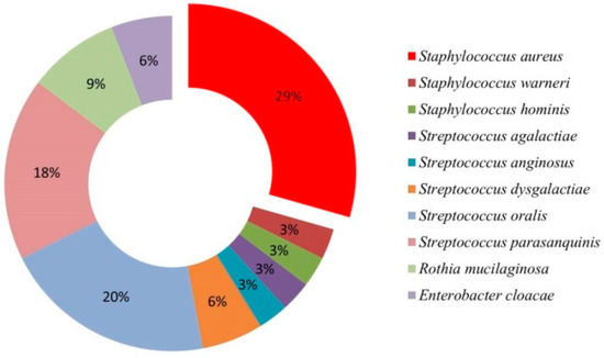 Should I Take Antibiotics For Tonsillitis