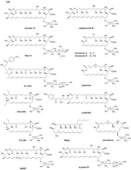 Antibiotics | Free Full-Text | Effect of Post–Polyketide Synthase ...