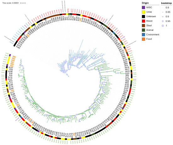 Antibiotics | Free Full-Text | Genotypic Characteristics and ...