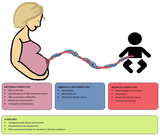 Antibiotics Free Full Text Group B Streptococcus Early Onset 