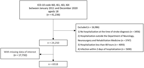 Post-Stroke Infections: Insights from Big Data Using Clinical Data 
