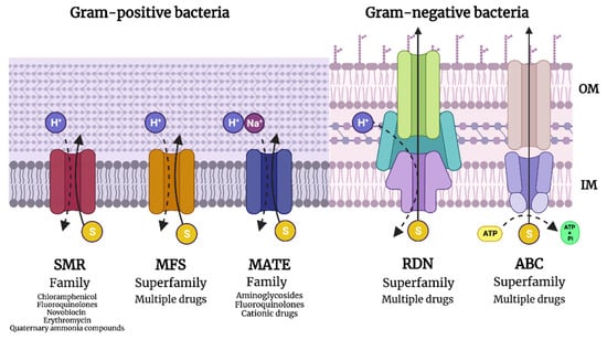 Antimicrobial Resistance: Is There a 'Light'at the End of the Tunnel?