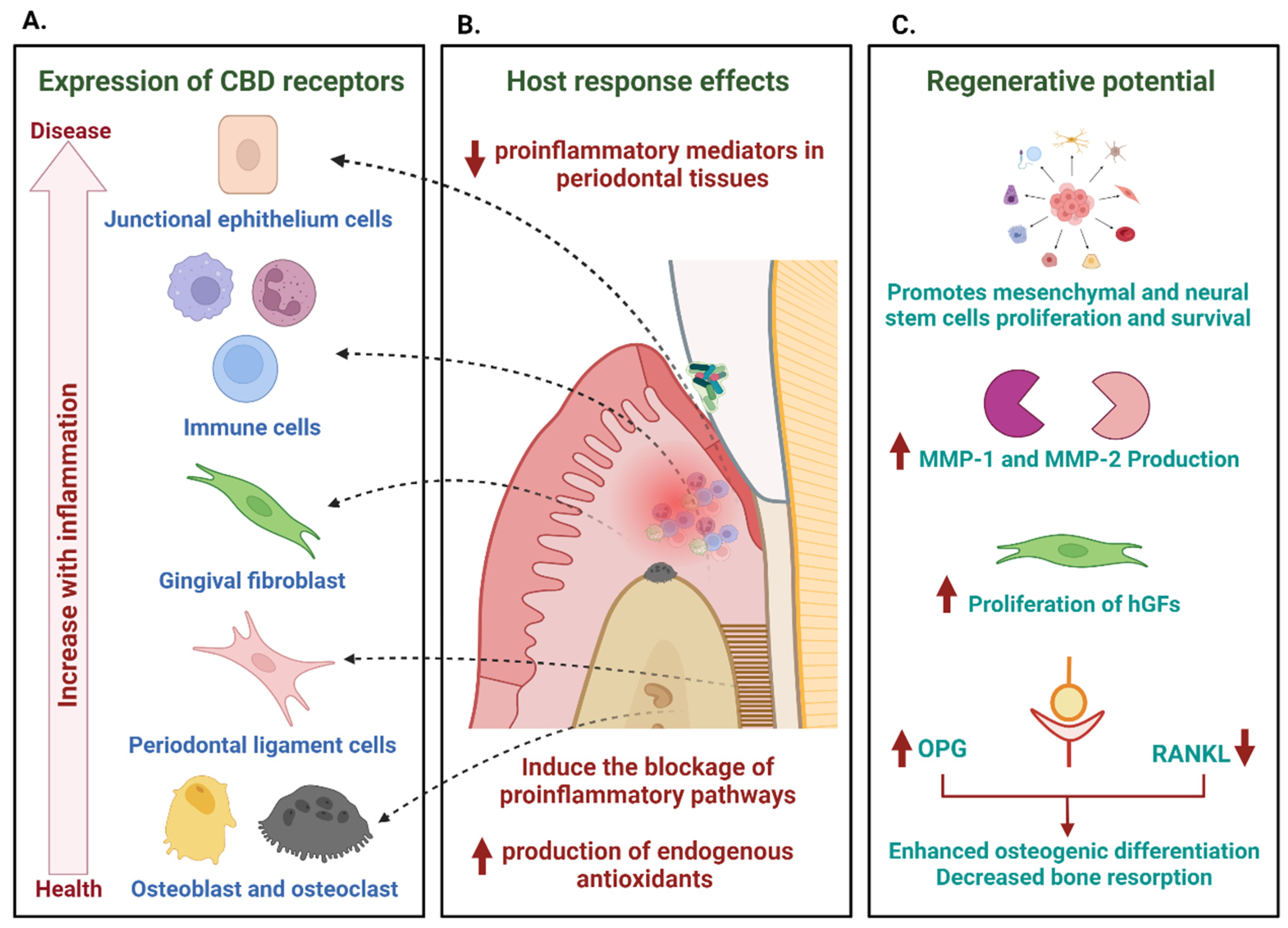 Antibiotics | free full-text | cannabinoids in periodontology: where