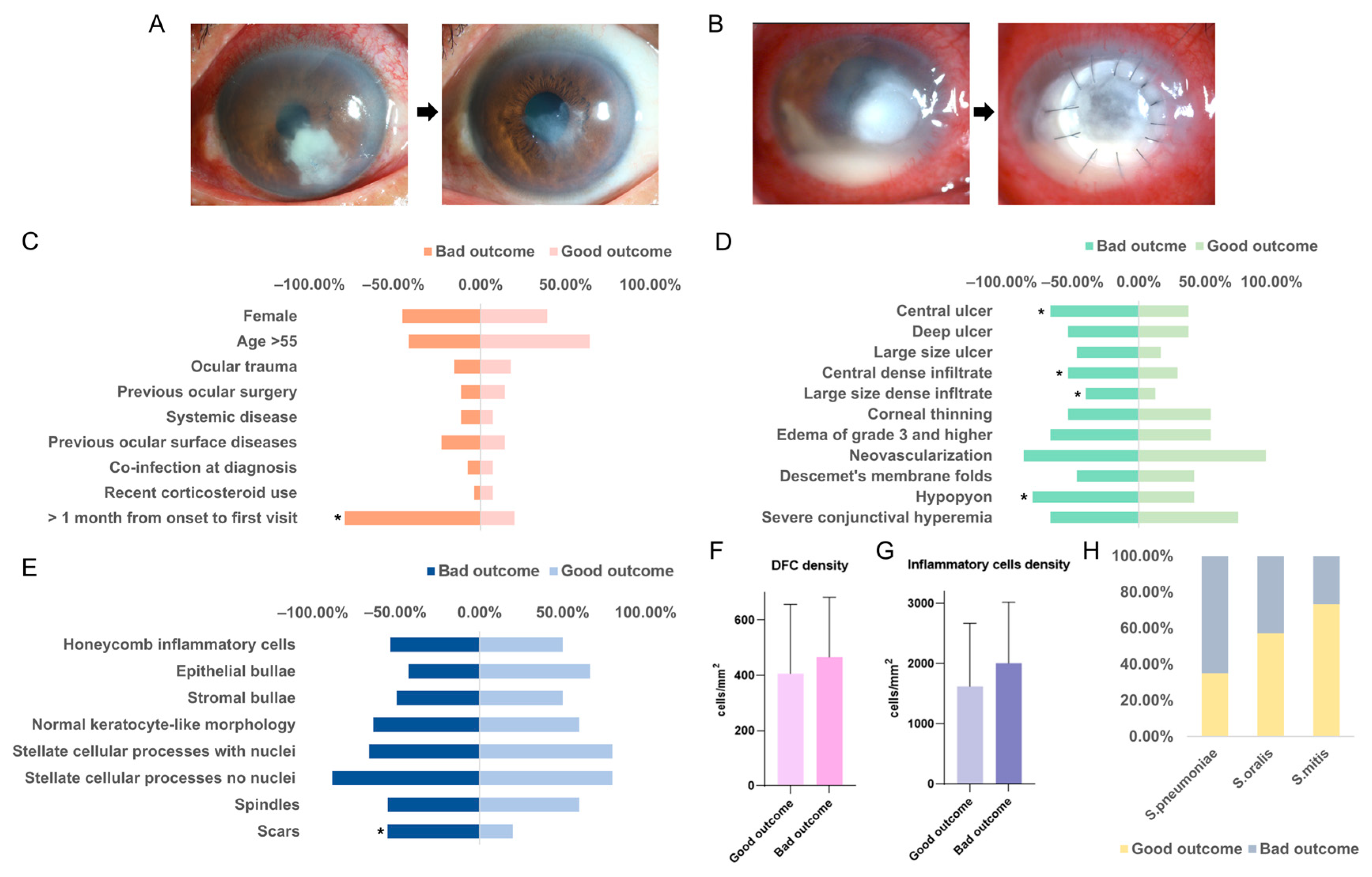 Risk Factors, Clinical Characteristics, and Antibiotic Susceptibility ...