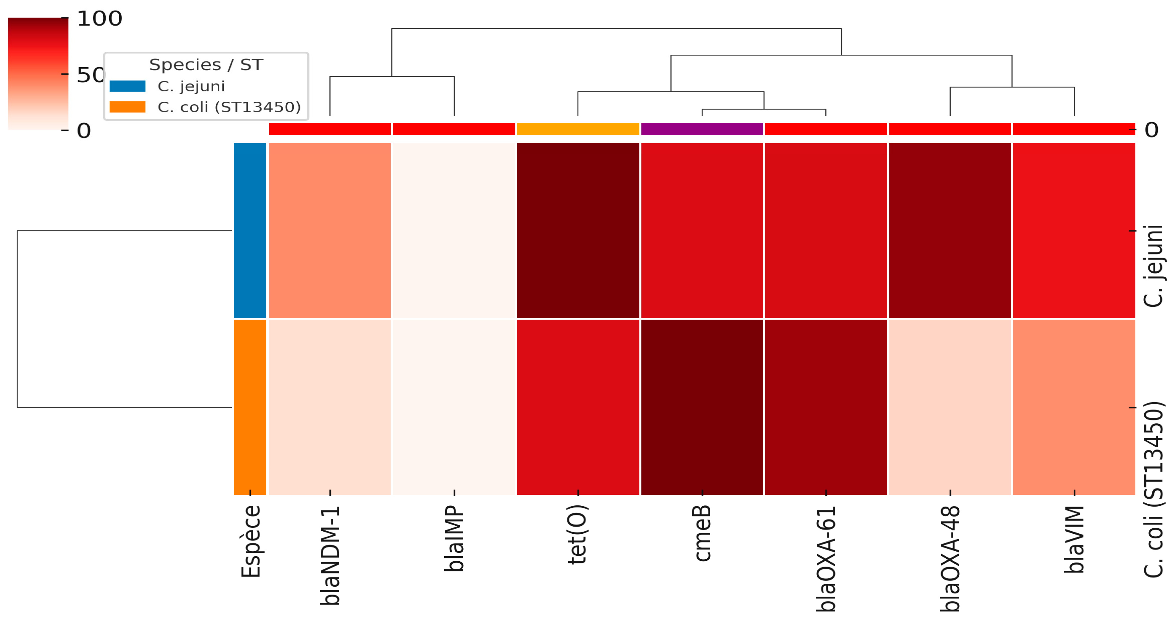 First Detection of Critical Carbapenemase Genes (NDM, OXA-48, VIM) in ...