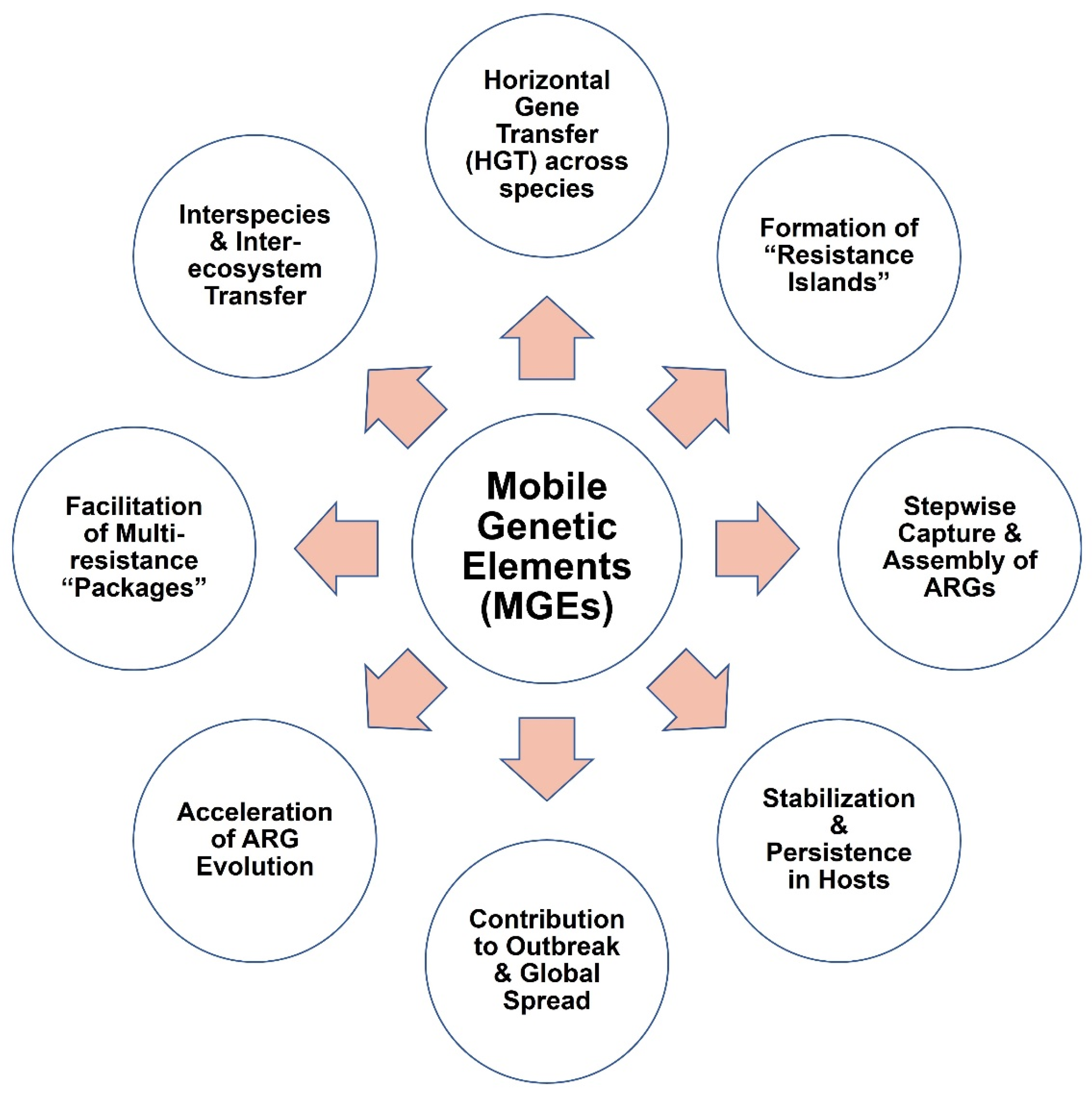 Mobile Genetic Elements as Central Drivers of Antimicrobial Resistance ...