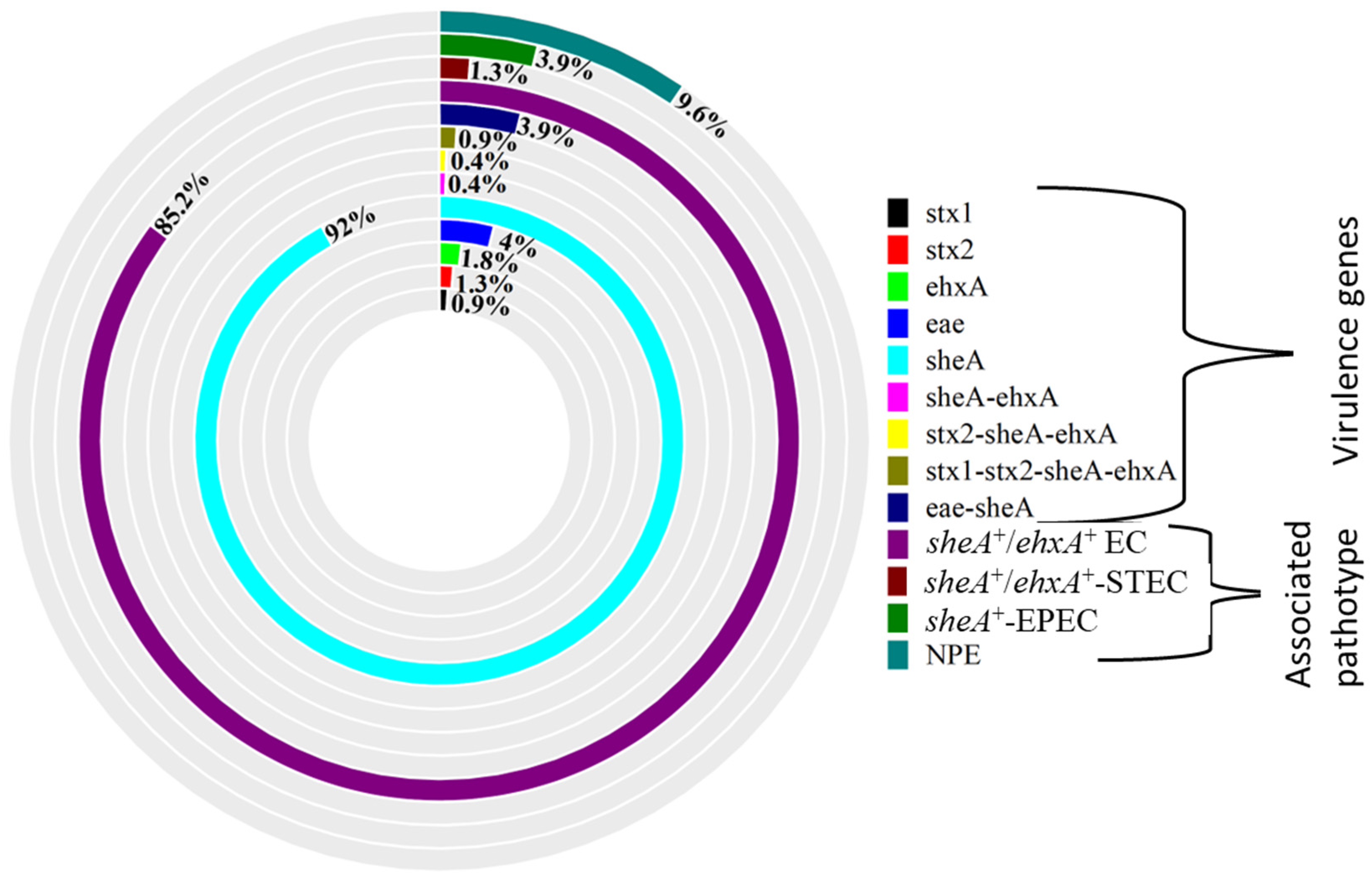 Widespread Multidrug Resistance and Virulence Determinants in ...