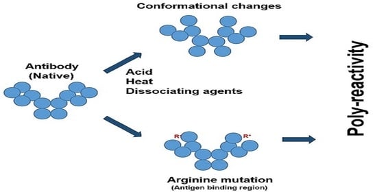 Antibodies | Free Full-Text | Mechanistic Insight into Poly