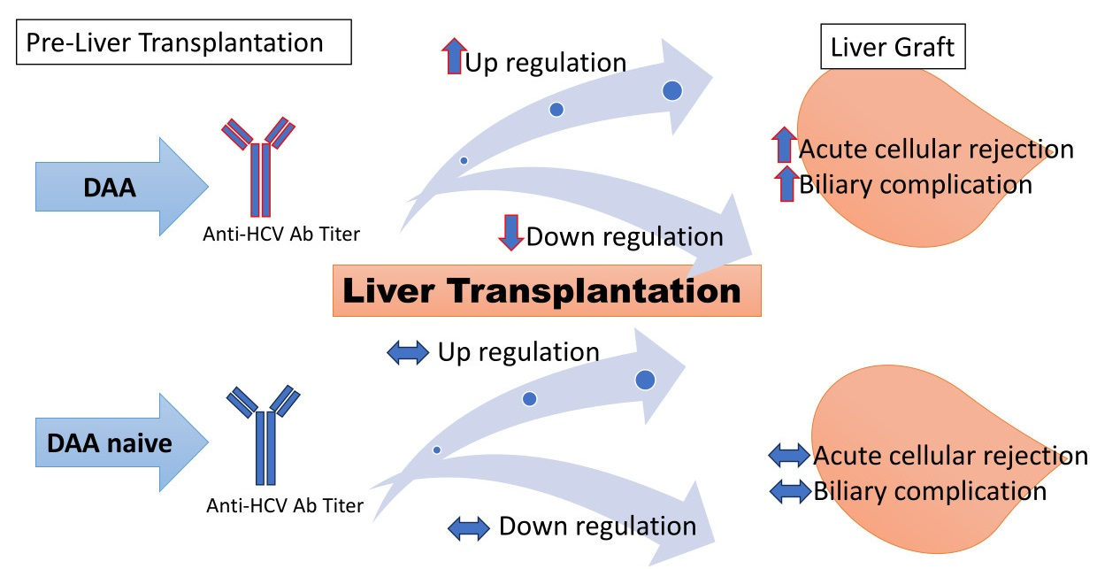Comparison of liver function before and after PTCD in three groups