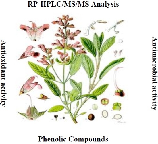 Antioxidants | Free Full-Text | RP-HPLC/MS/MS Analysis of the Phenolic ...