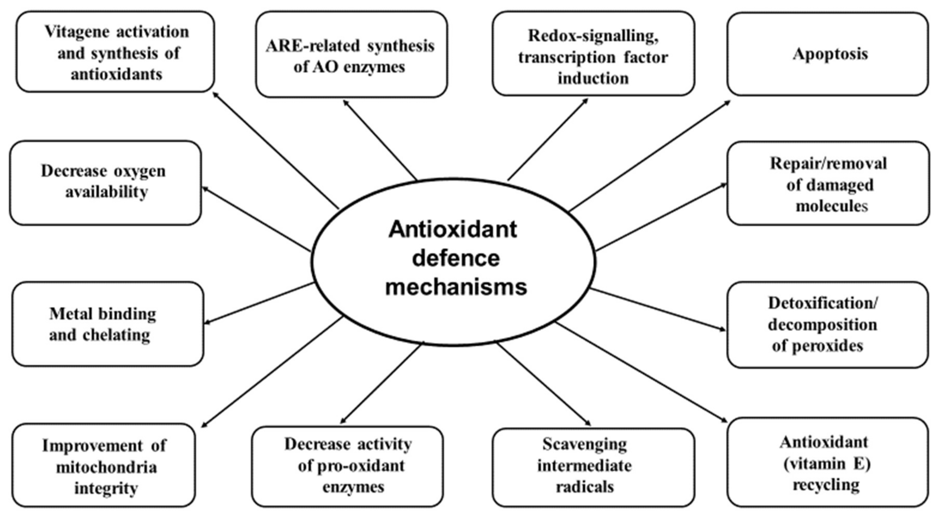 Antioxidant defense strategies