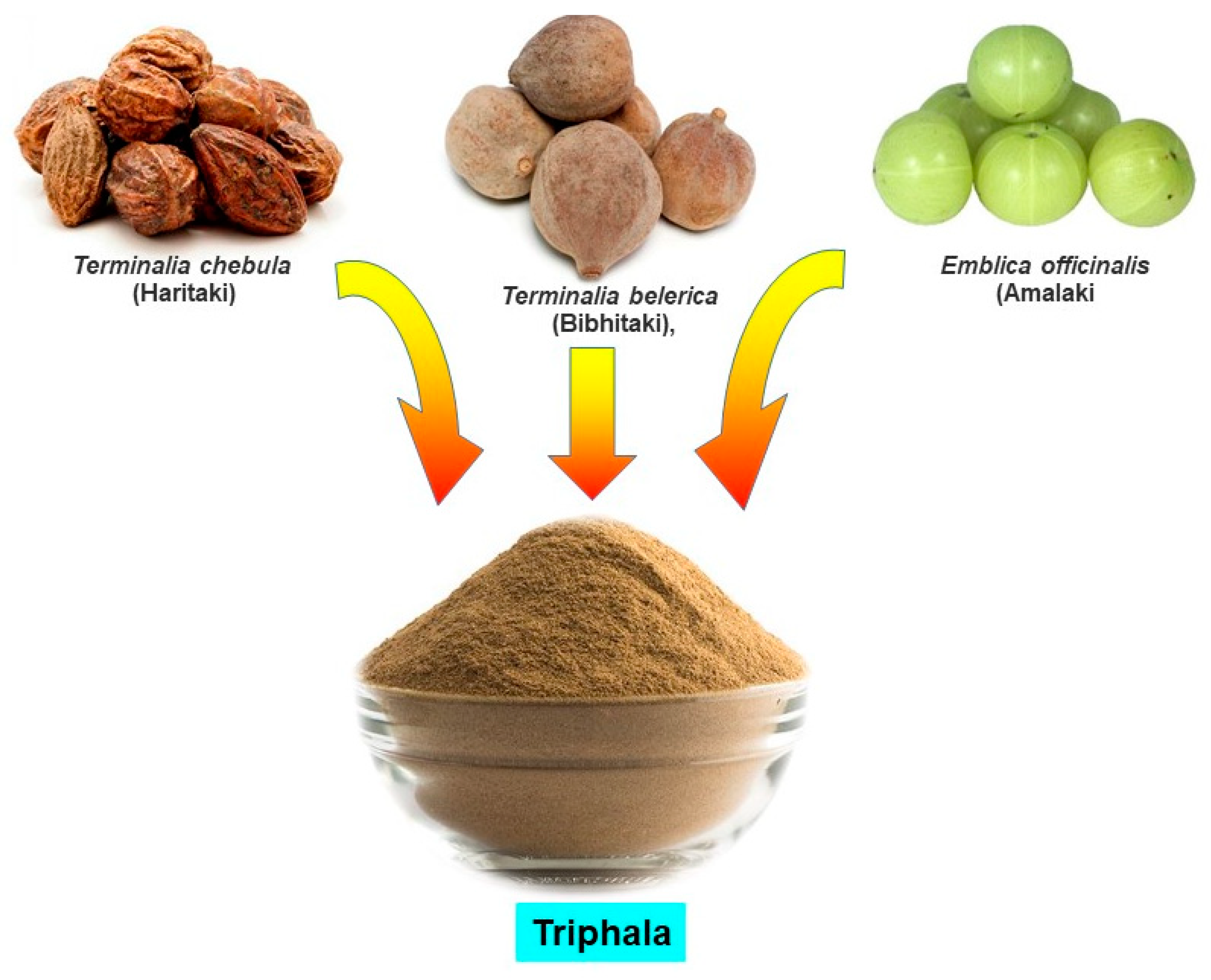 Antioxidants | Free Full-Text | Oxidative Stress and Cancer:  Chemopreventive and Therapeutic Role of Triphala