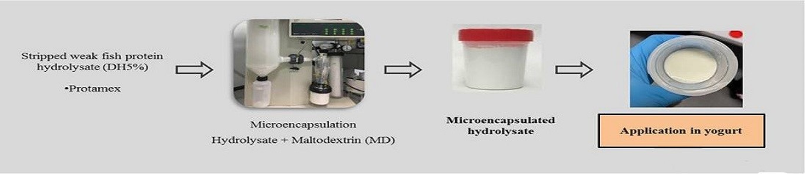 PDF) Functionalization of yogurts with Agaricus bisporus extracts