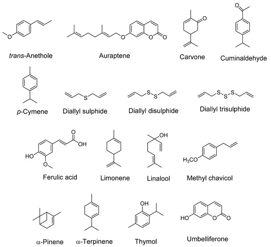 Antioxidants | Free Full-Text | Mechanistic Aspects of Apiaceae Family ...