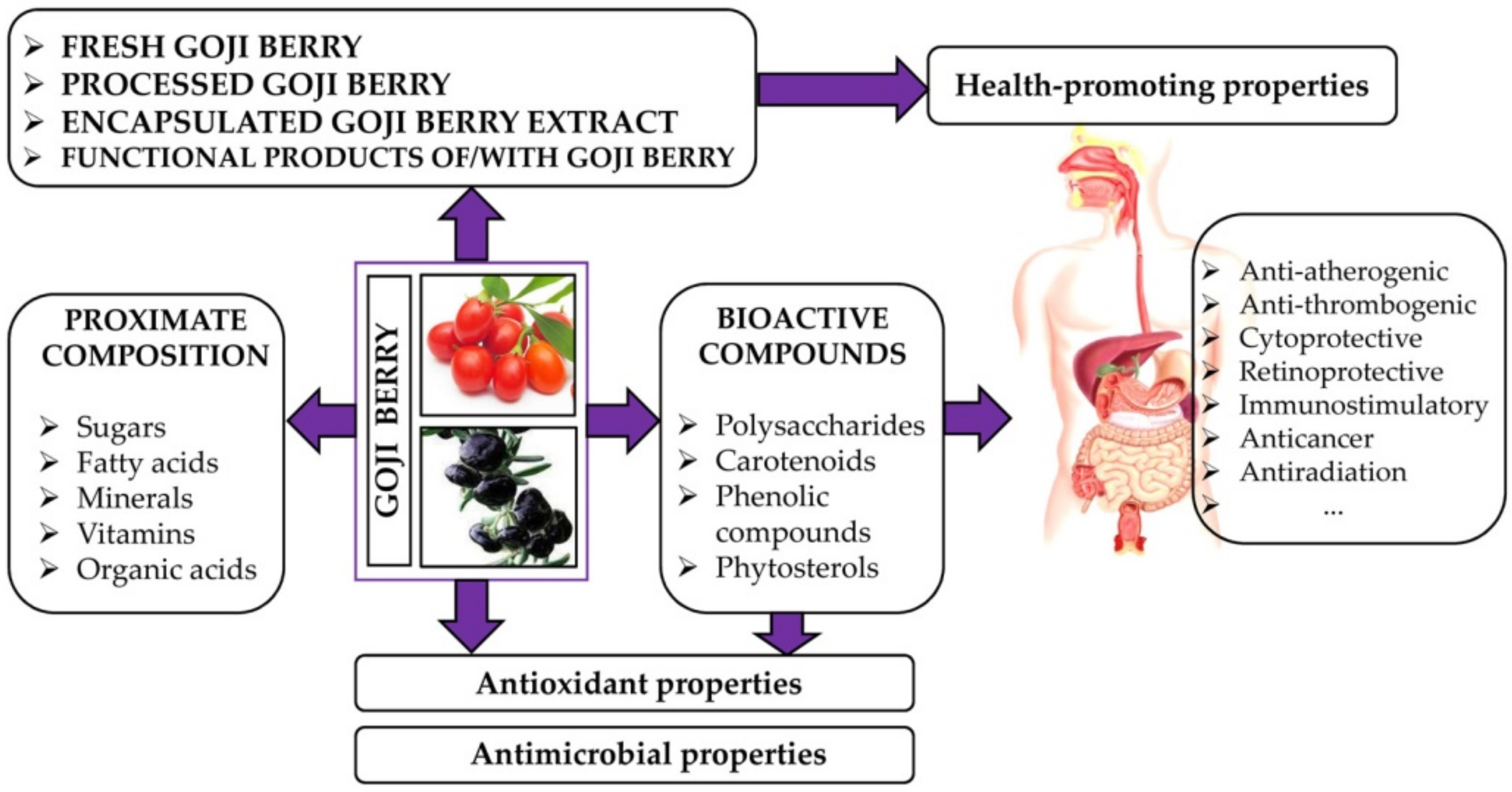 Powerful Antioxidant of Black Goji Berry Juice Powder Powerful Antioxidant of Black Goji Berry Juice Powder