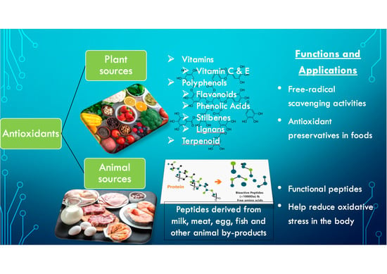 Antioxidants | Free Full-Text | Plant- and Animal-Based Antioxidants’  Structure, Efficacy, Mechanisms, and Applications: A Review