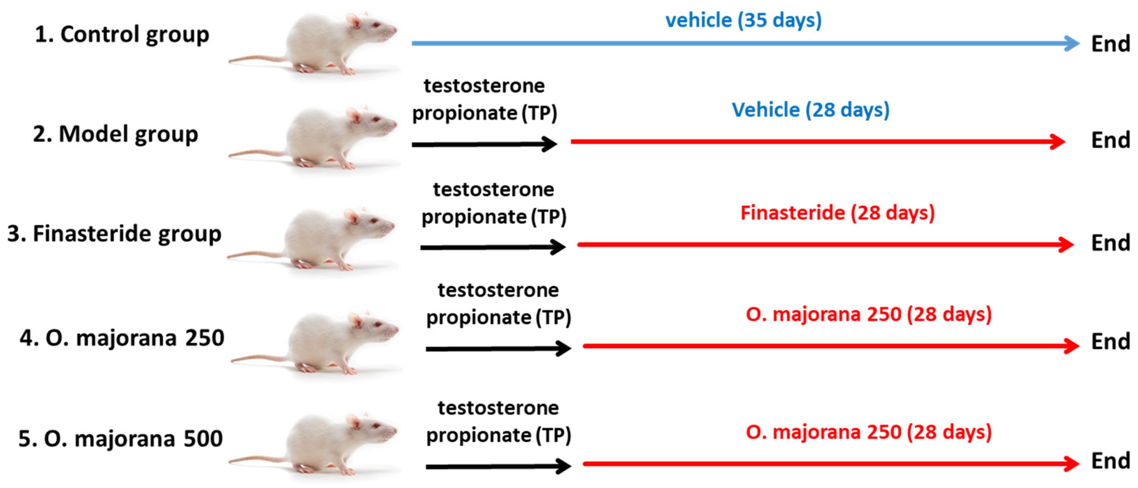 Antioxidants | Free Full-Text | Origanum majorana L. Extract Attenuated  Benign Prostatic Hyperplasia in Rat Model: Effect on Oxidative Stress,  Apoptosis, and Proliferation