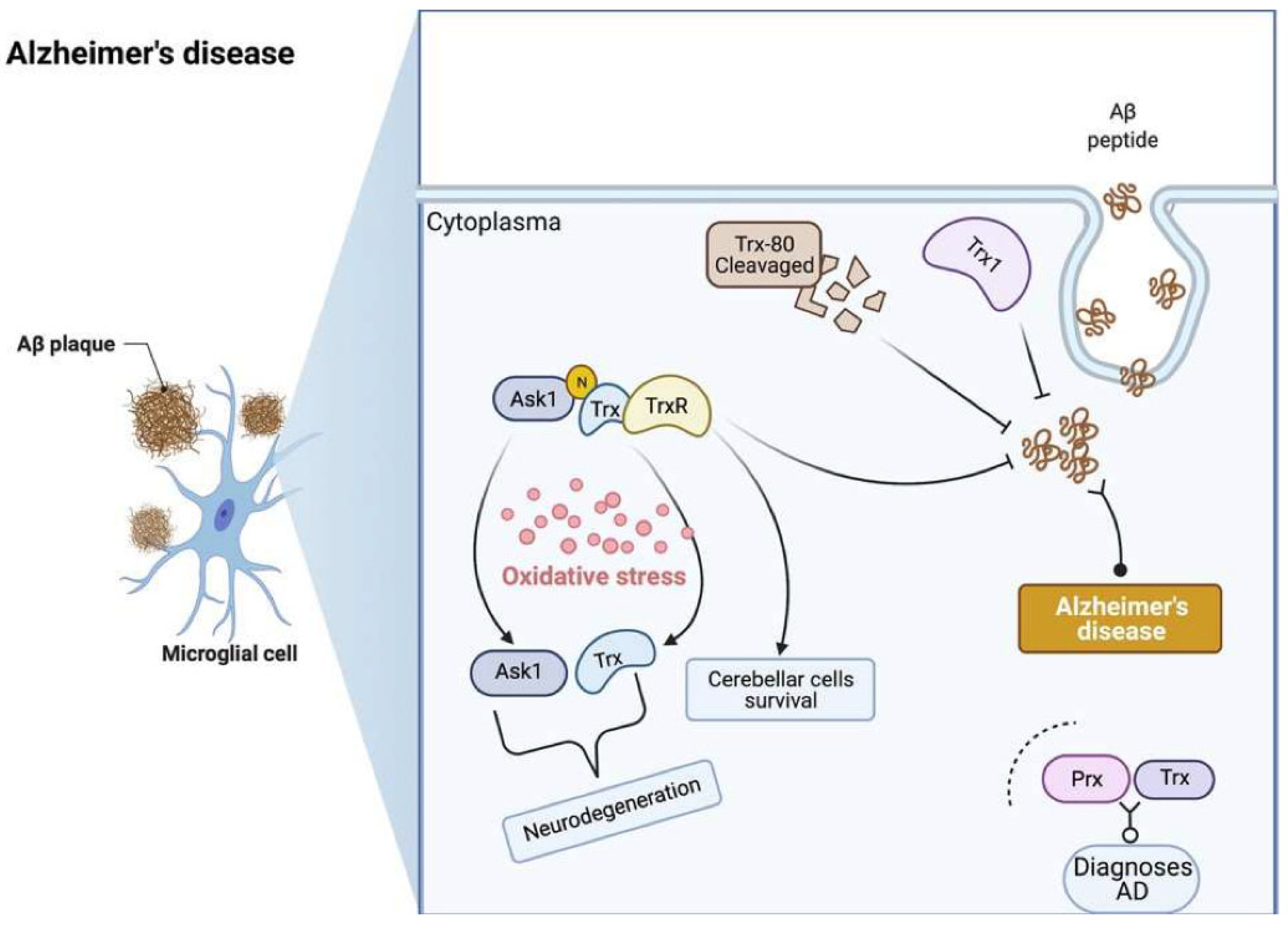 Antioxidants | Free Full-Text | The Role of the Thioredoxin System 