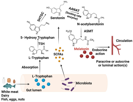 NMDAR in bladder smooth muscle is not a pharmacotherapy target for  overactive bladder in mice [PeerJ]