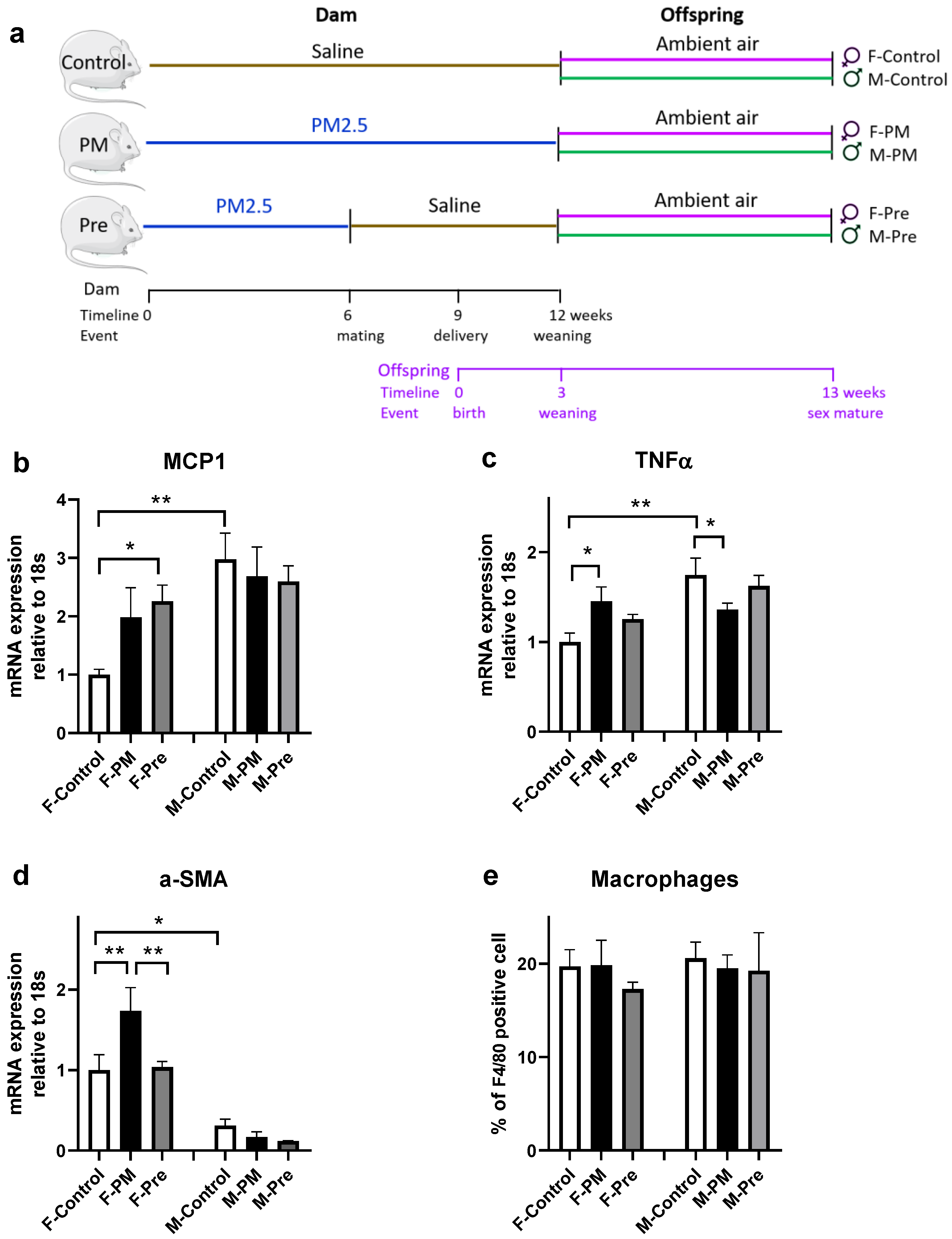 Antioxidants Free Full Text Sex Dependent Responses To Maternal