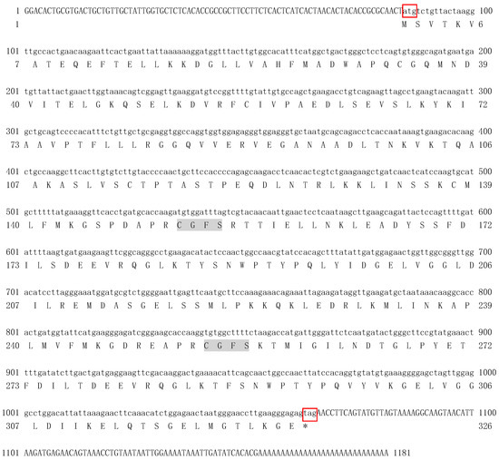 Hypoxia Affects the Antioxidant Activity of Glutaredoxin 3