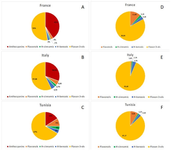 Anti- and Pro-Oxidant Activity of Polyphenols Extracts of Syrah and Chardonnay Grapevine Pomaces on Melanoma Cancer Cells