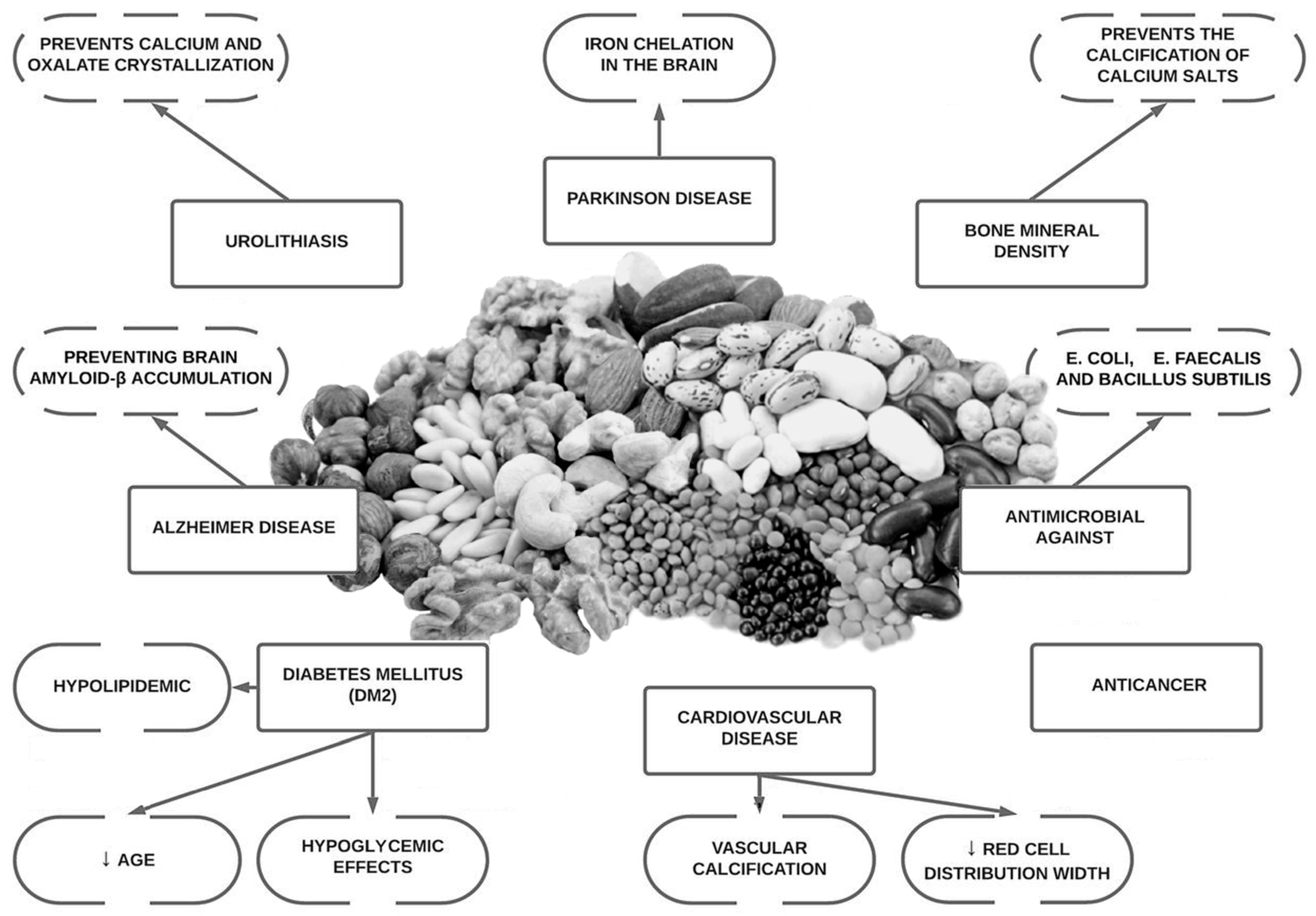 Antioxidants | Free Full-Text | Phytate Intake, Health and Disease