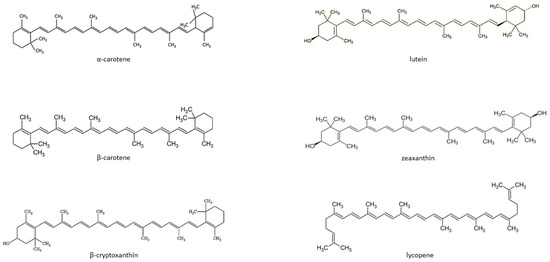 Antioxidants | Free Full-Text | Antioxidant and Anti-Inflammatory