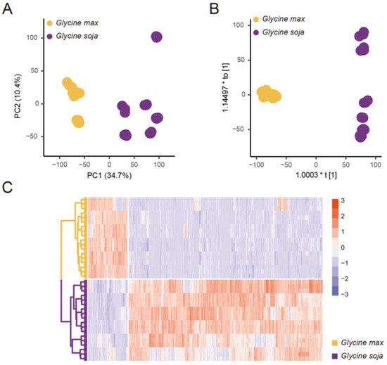 Metabolome analysis, nutrient and antioxidant potential of aerial