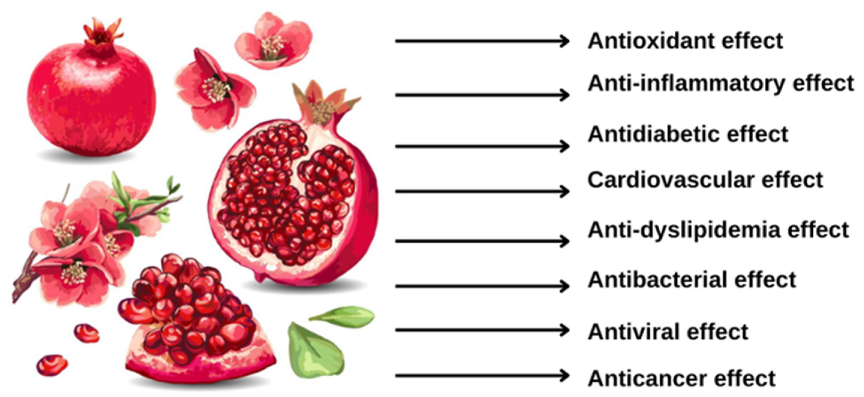 https://pub.mdpi-res.com/antioxidants/antioxidants-12-01351/article_deploy/html/images/antioxidants-12-01351-g001.png?1687864871=&utm_source=chatgpt.com