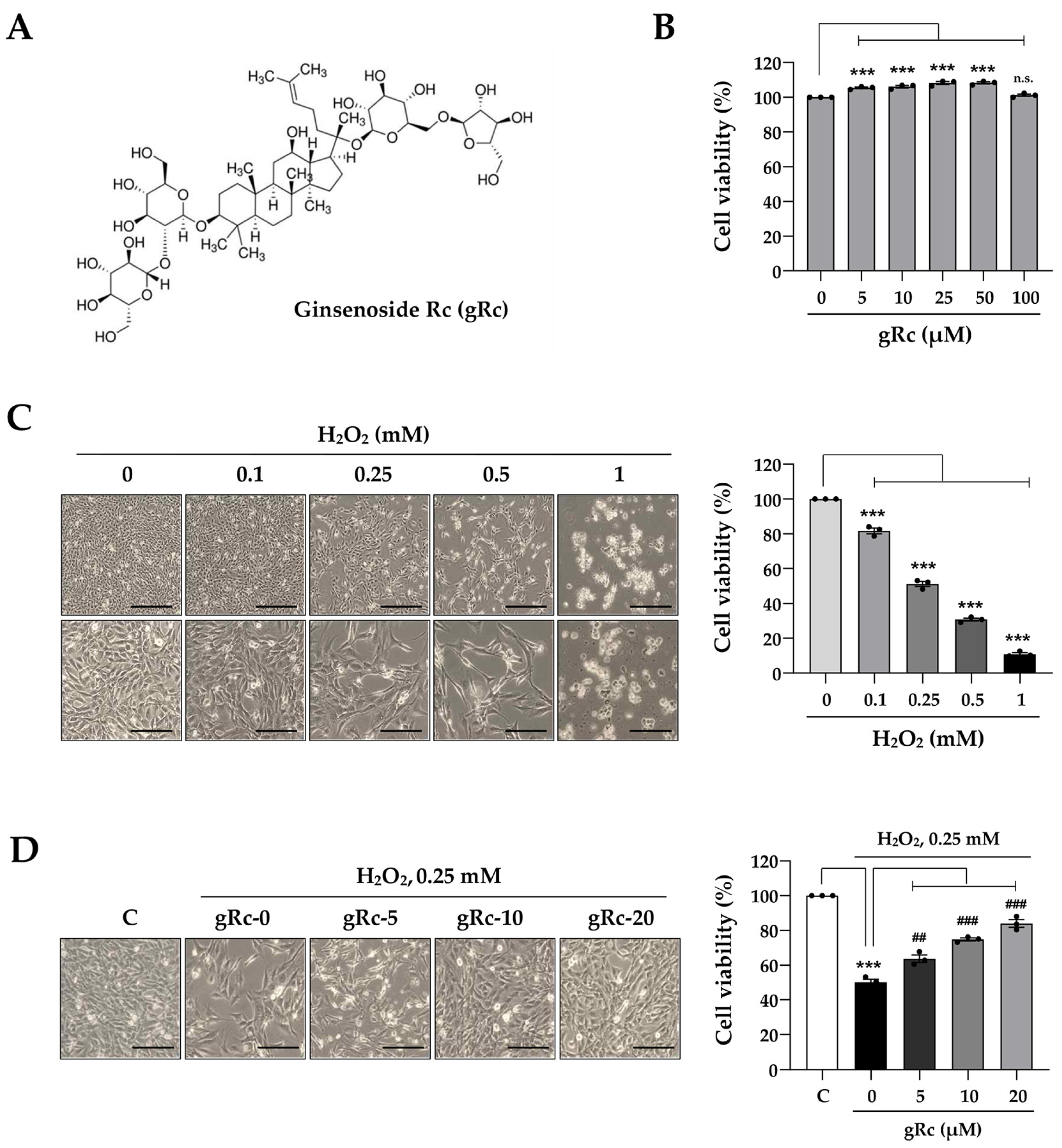 Antioxidants | Free Full-Text | Ginsenoside Rc, an Active 