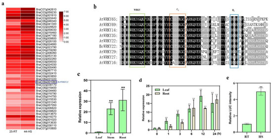 Antioxidants | Free Full-Text | BcWRKY22 Activates BcCAT2 to Enhance ...