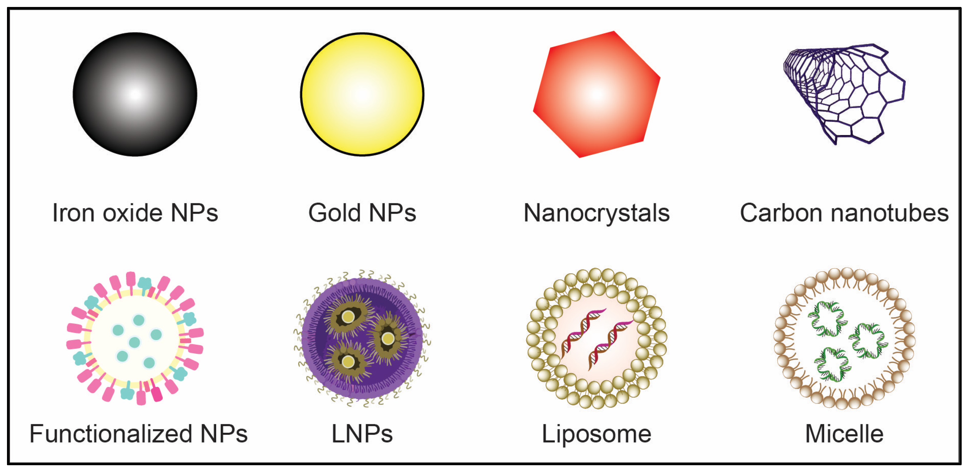 Antioxidants | Free Full-Text | Role of Nanoparticle-Conjugates 