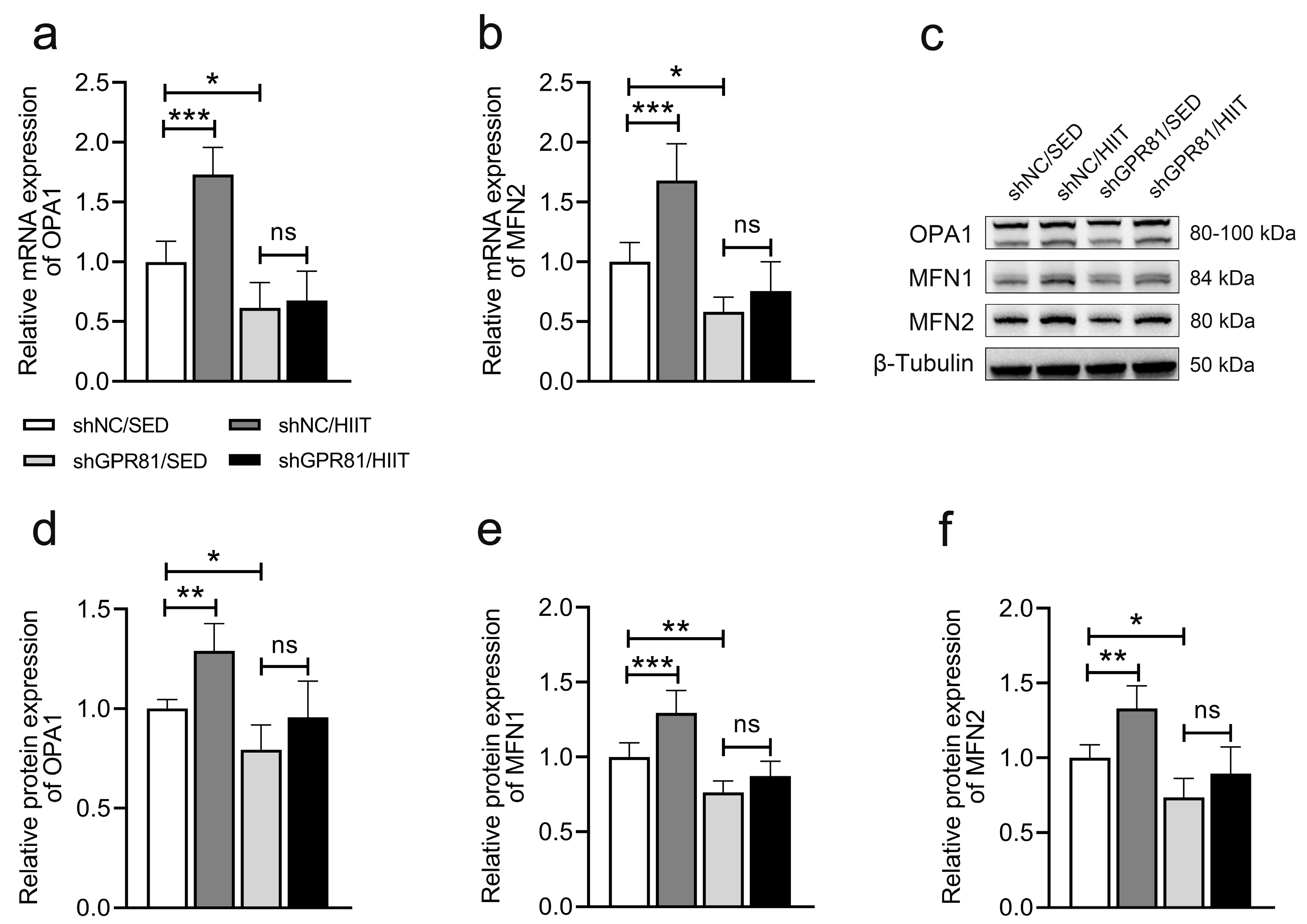 Antioxidants | free full-text | lactate mediates high-intensity