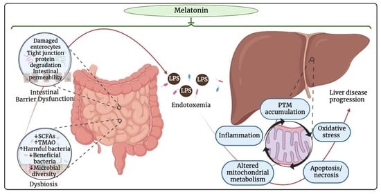 https://pub.mdpi-res.com/antioxidants/antioxidants-13-00043/article_deploy/html/images/antioxidants-13-00043-ag-550.jpg?1704860656=&utm_source=chatgpt.com