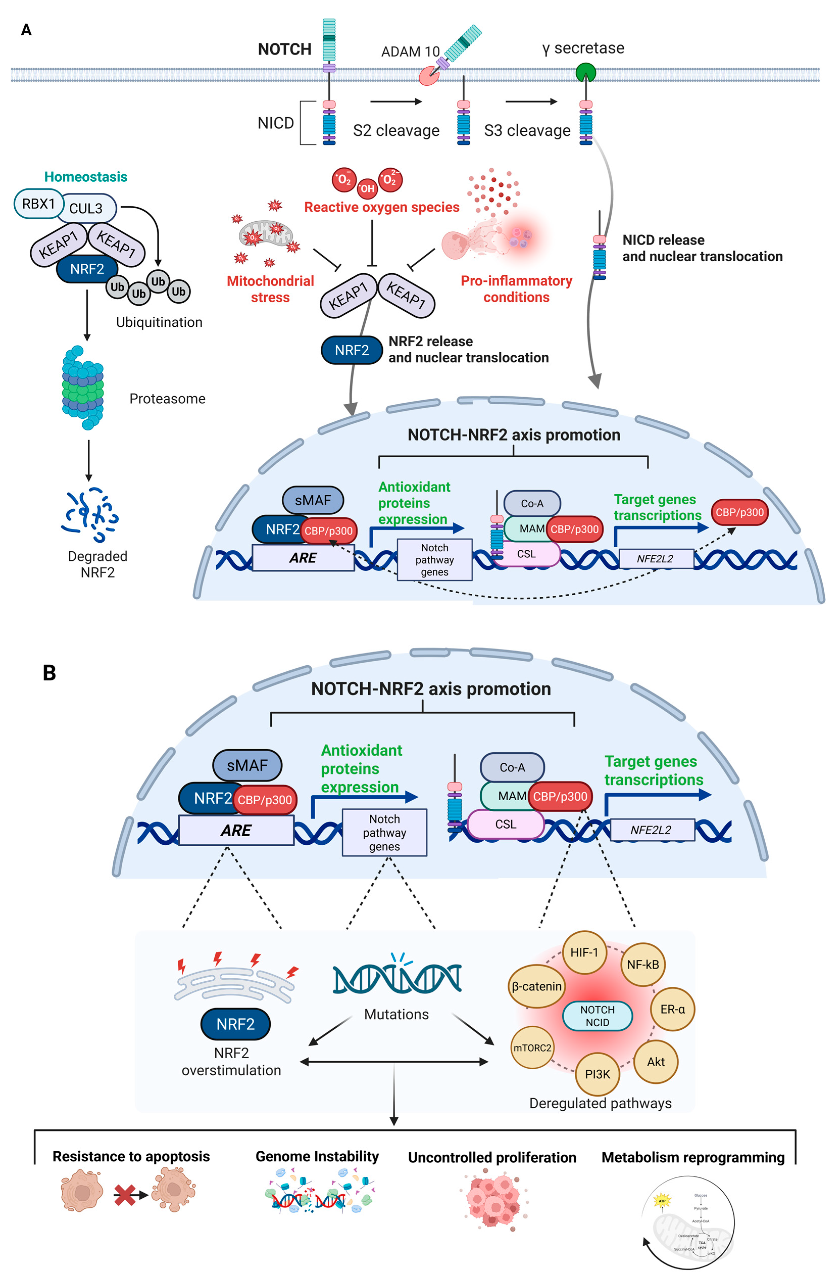 いのうえ 8体セット Transcriptional and Metabolic Dissection of ATRA-Induced