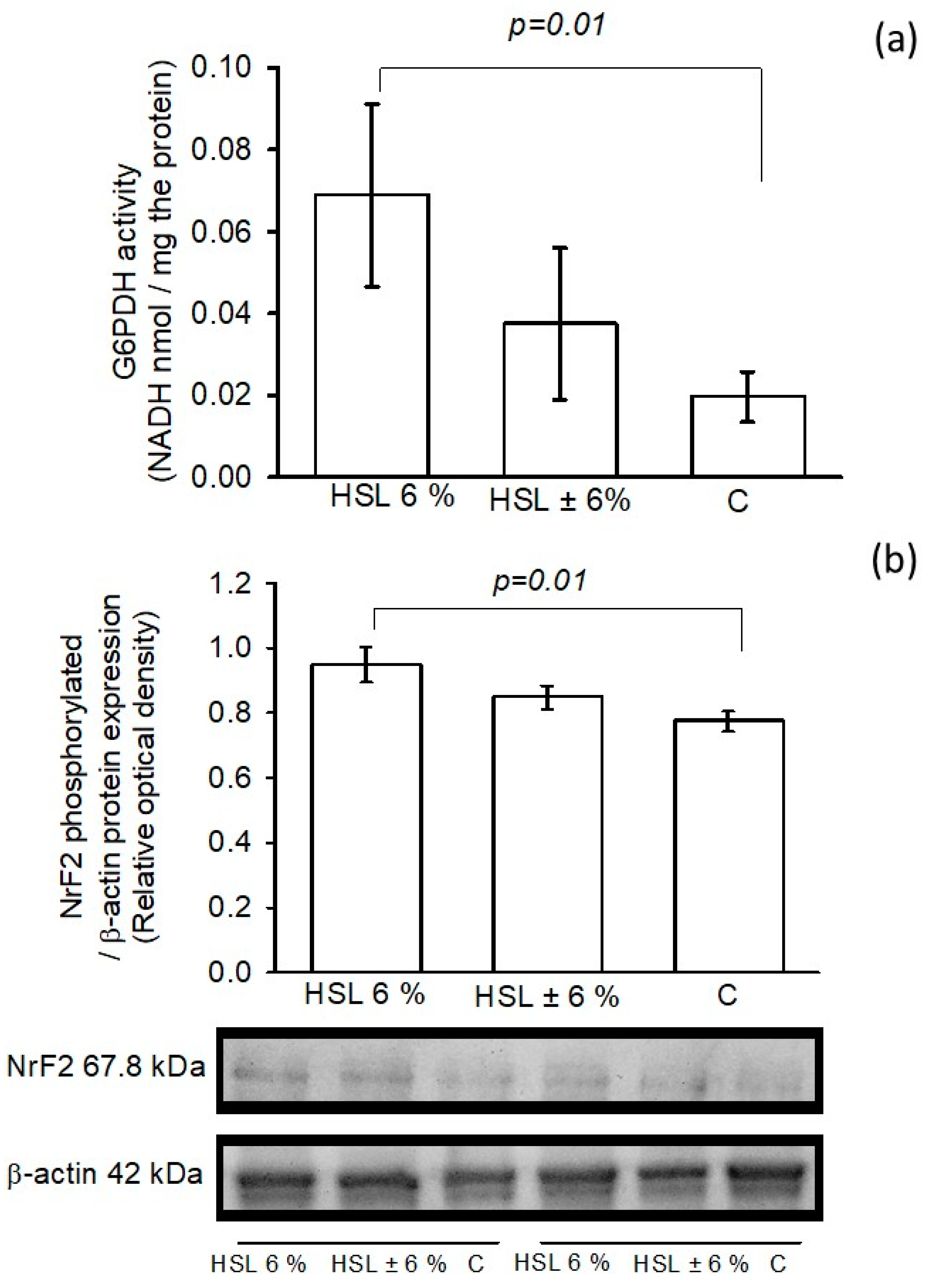 Impaired Renal Function Due to Reductive Stress Is