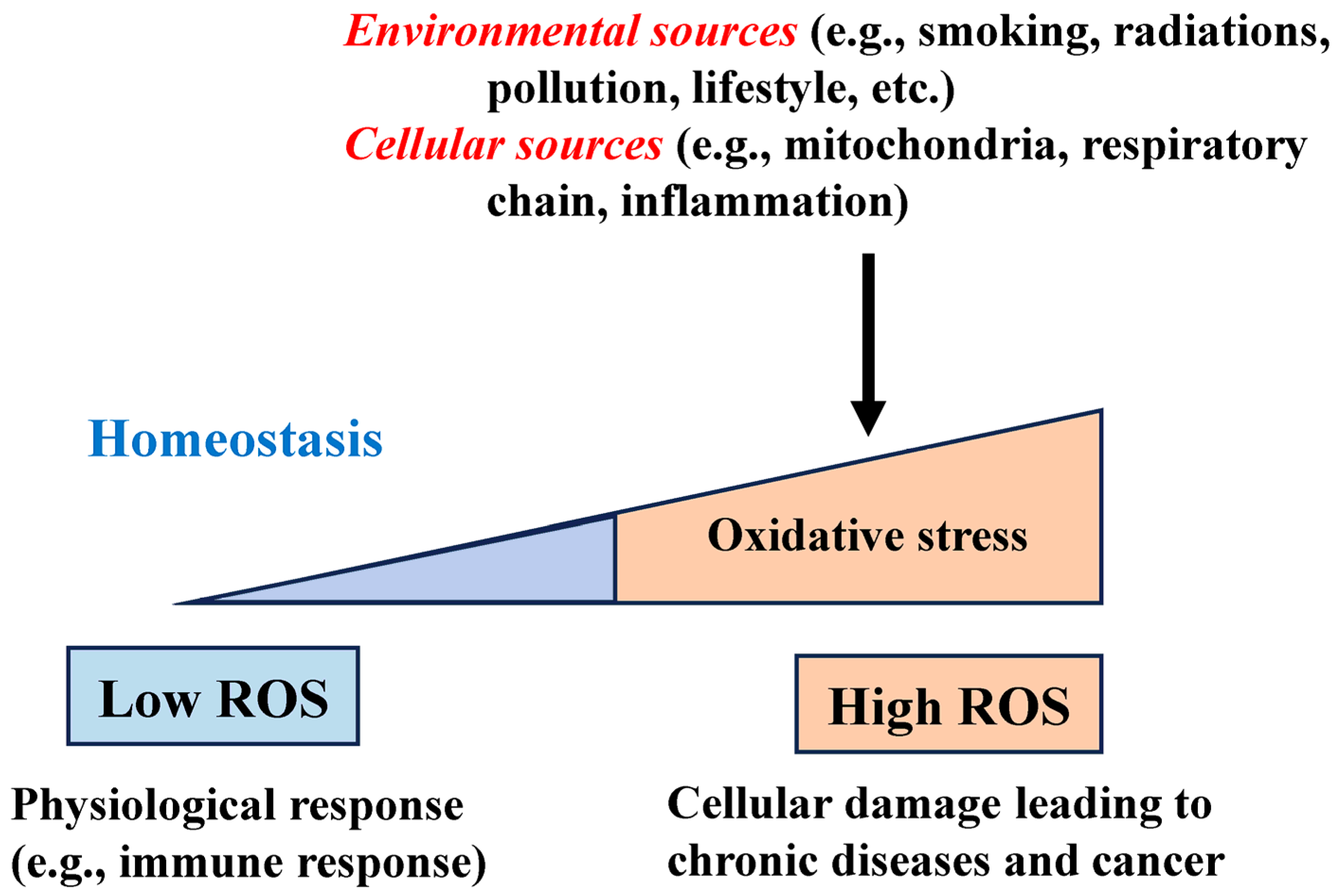 The Oxidative Stress: Origin and Role in Aging and Diseases