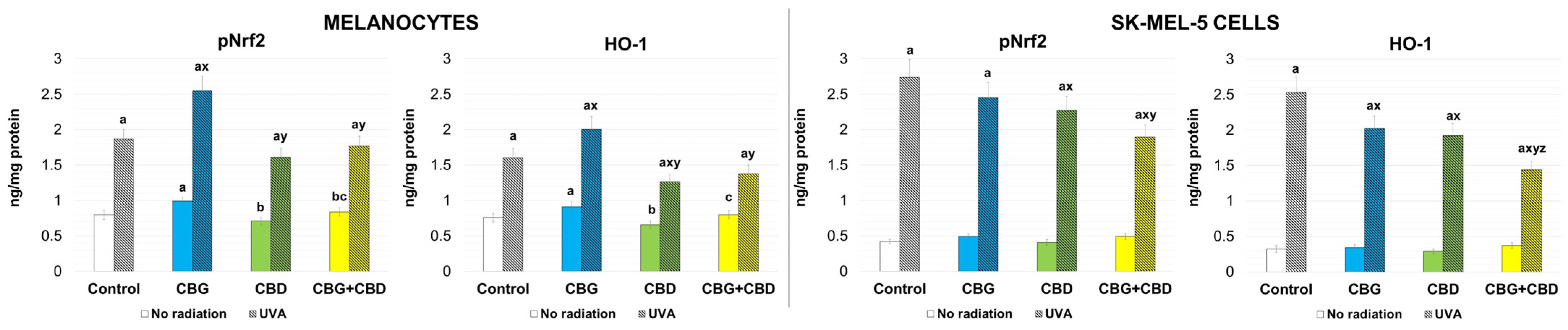 Metabolic Responses of Melanocytes and Melanoma Cells to UVA Radiation ...
