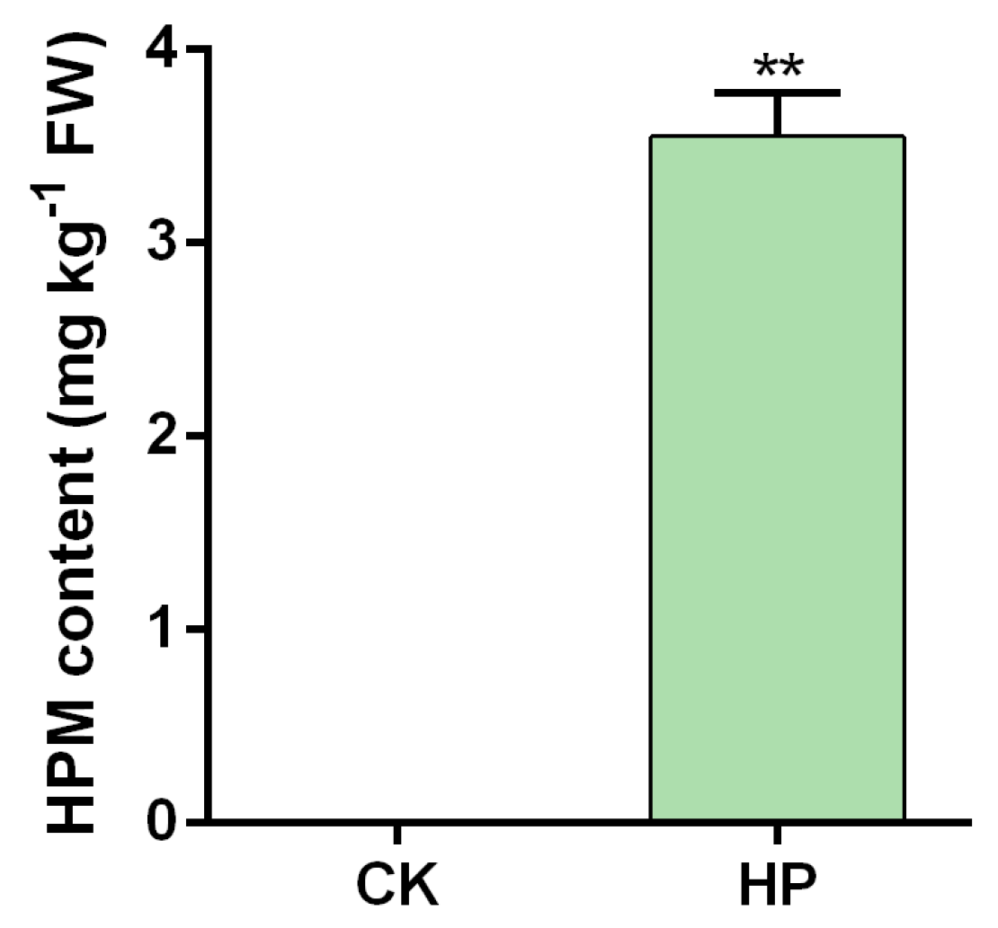 Integrated Multi-Omics Analysis Reveals the Mechanism of Haloxyfop-P ...