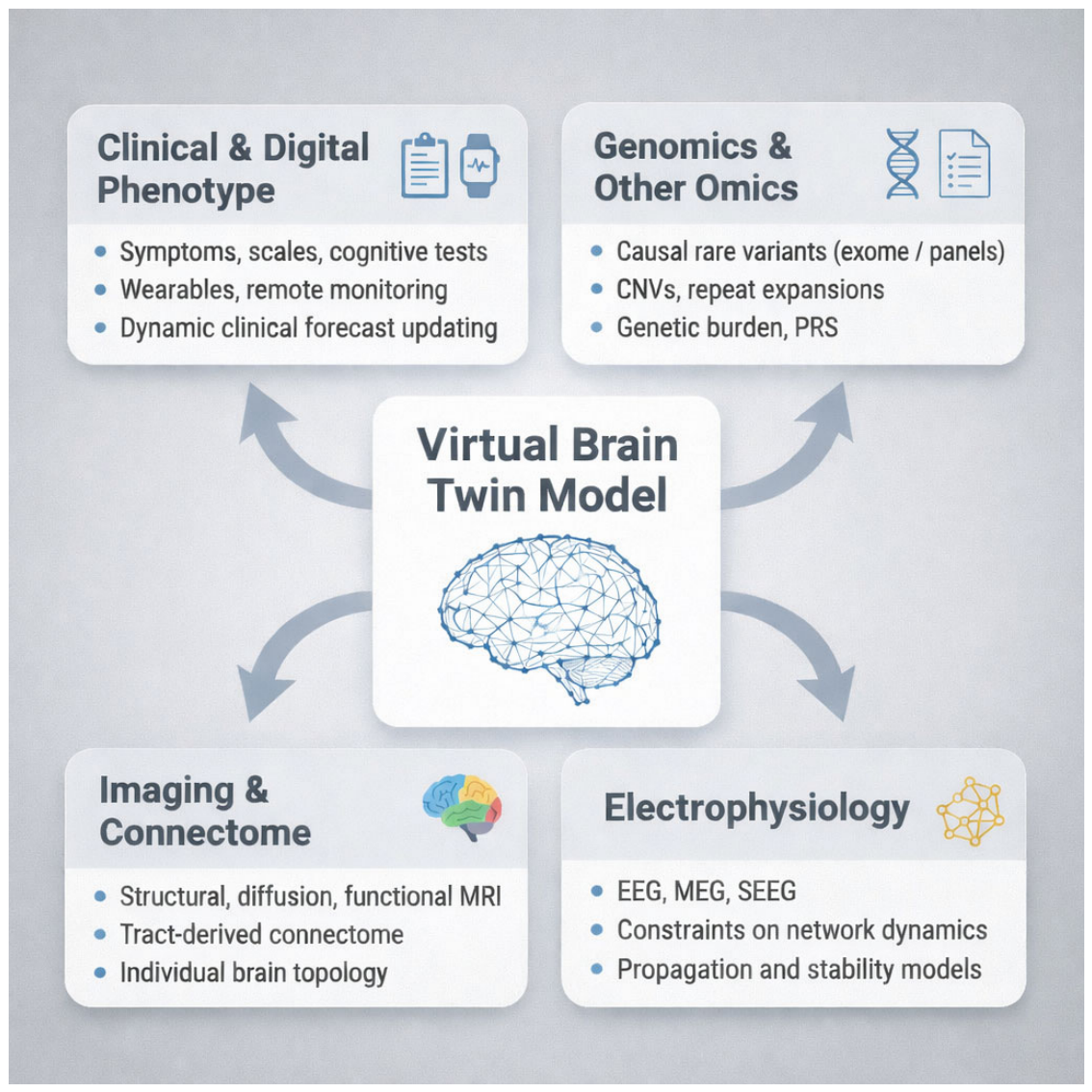 Virtual Brain and Digital Twins in Neurogenetics: From Multimodal ...