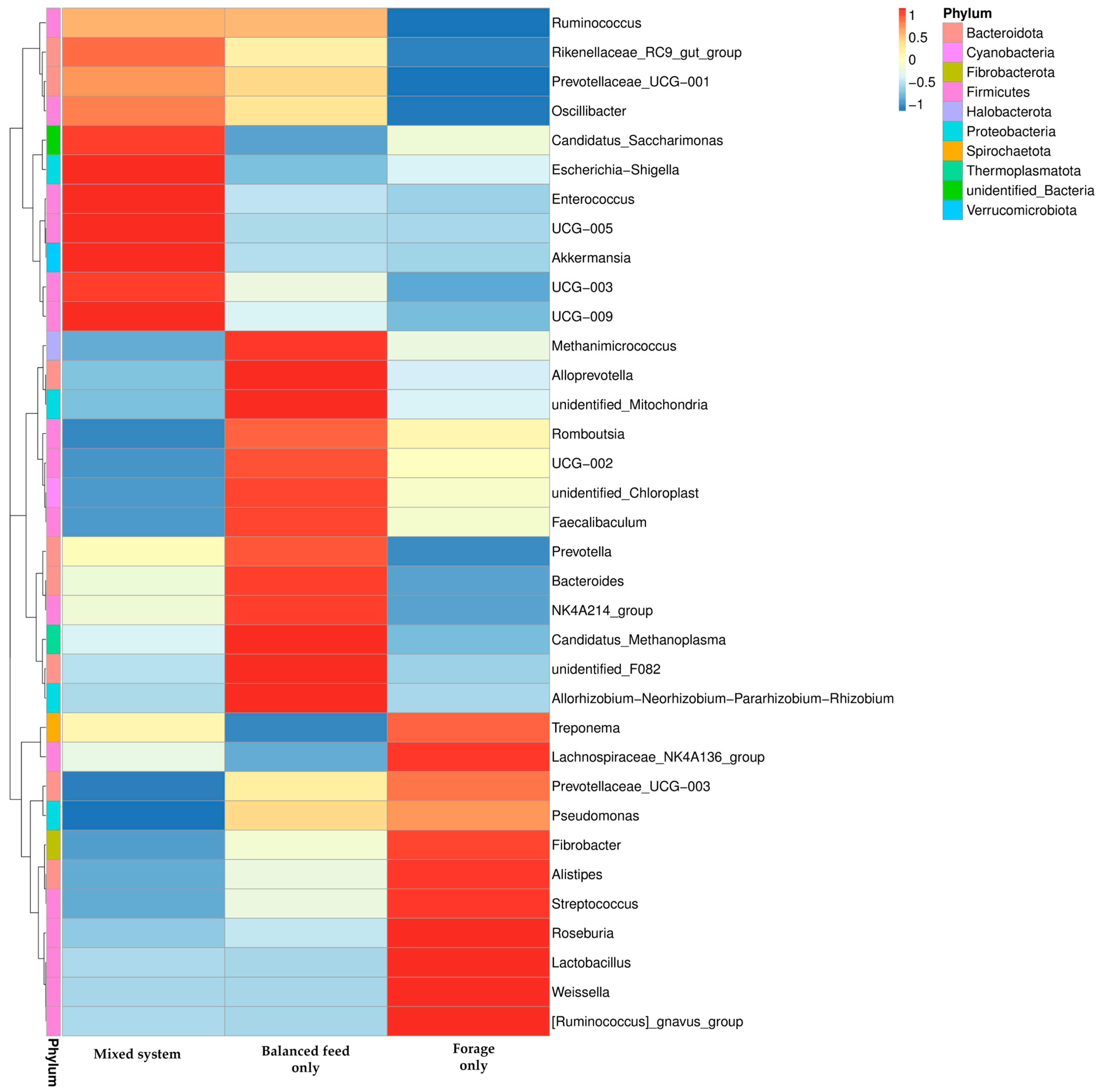 Curated visual reference: Fresh Look at 16S Rrna Metagenomic Profiling Reveals Diet Induced Shifts In Gut