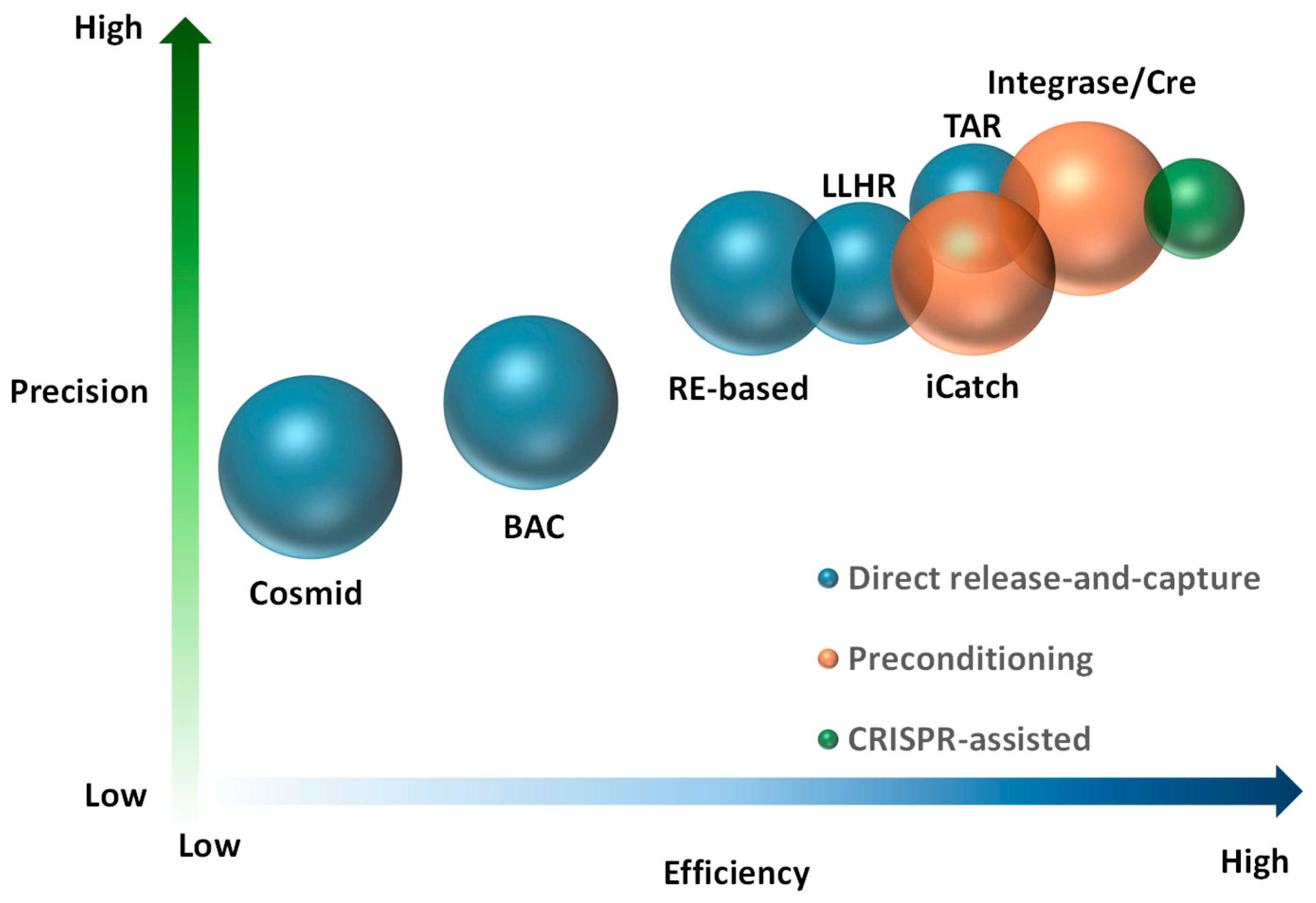 Practical Insights and Emerging Trends for Strategic Cloning of Large ...