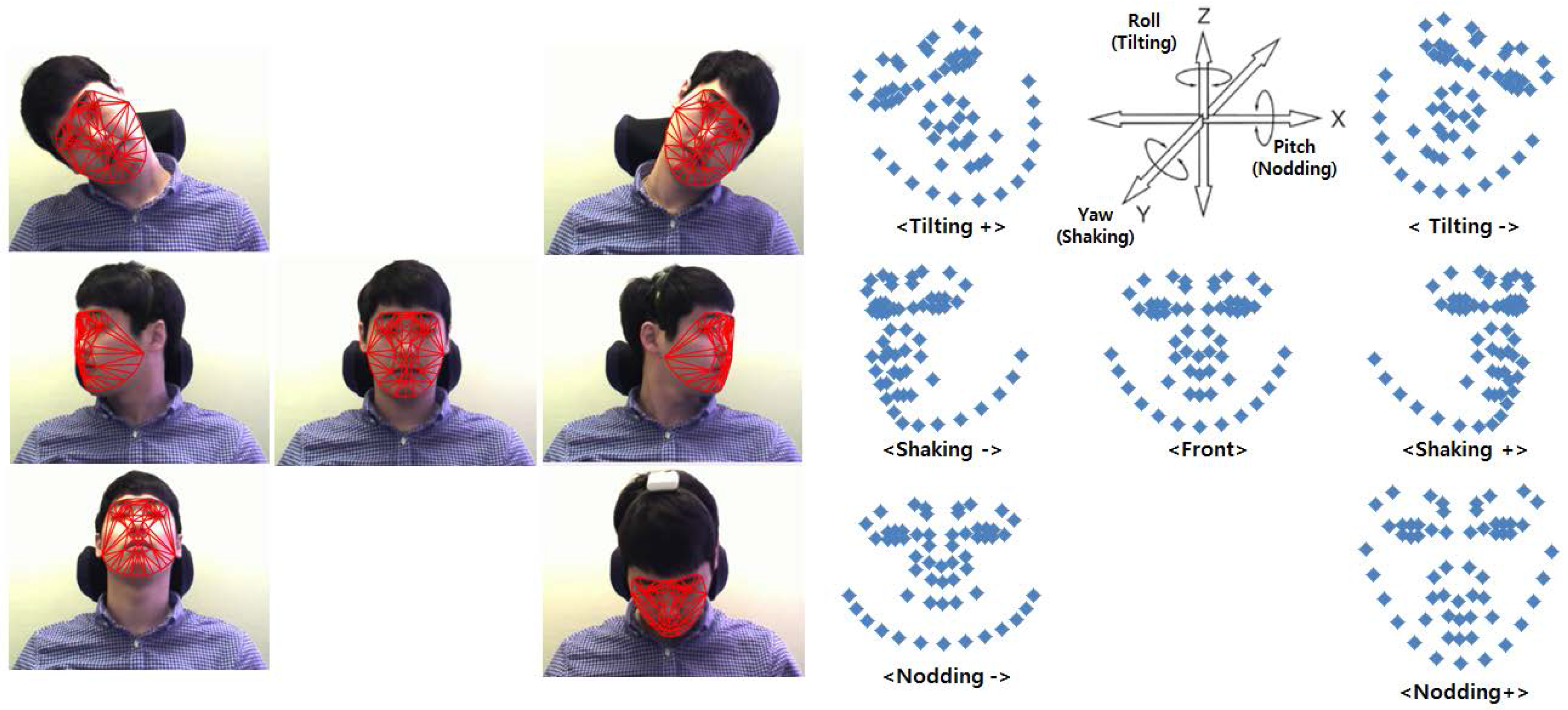 Real-time driver monitoring system with facial landmark-based eye closure  detection and head pose recognition | Scientific Reports