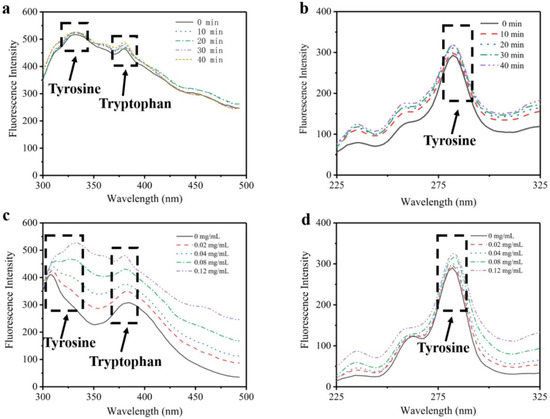 The Characteristics of Intrinsic Fluorescence of Type I Collagen ...