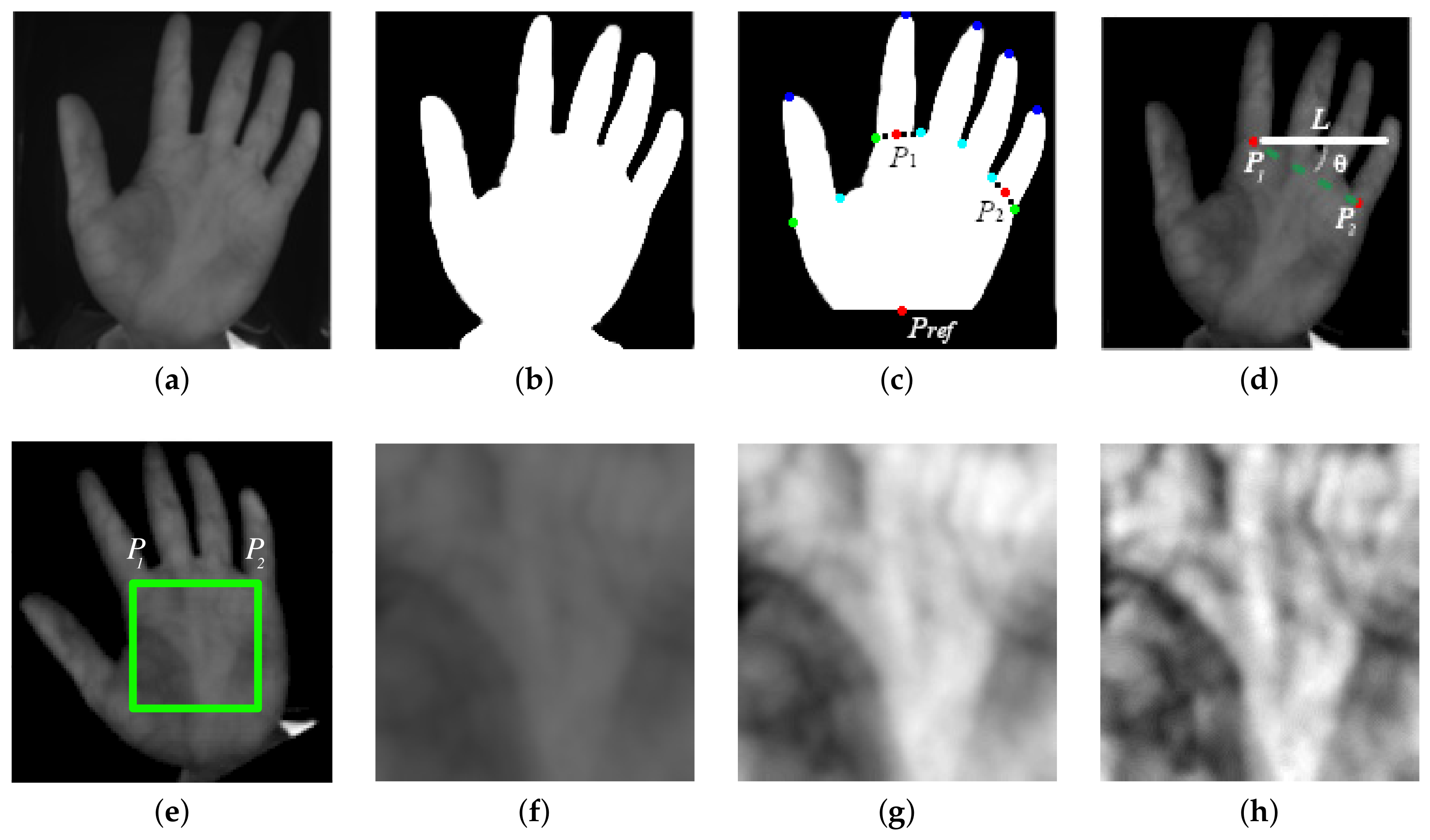 Applied Sciences | Free Full-Text | Individuals Based Palm Vein Matching under a Parallel Environment