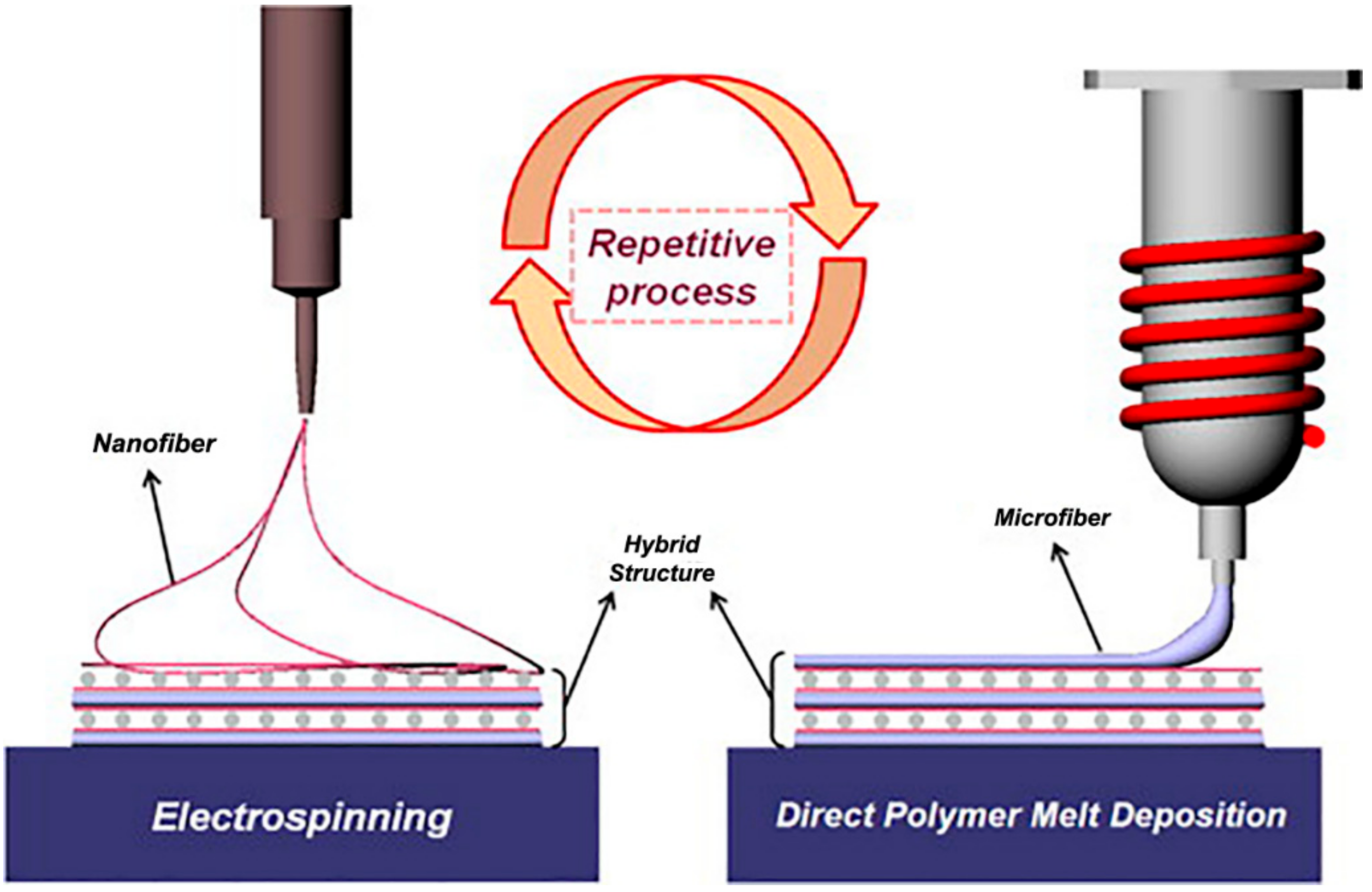 Applied Sciences Free Full Text Biomimicry In Bio Manufacturing Applied Sciences Free Full Text Biomimicry In Bio Manufacturing