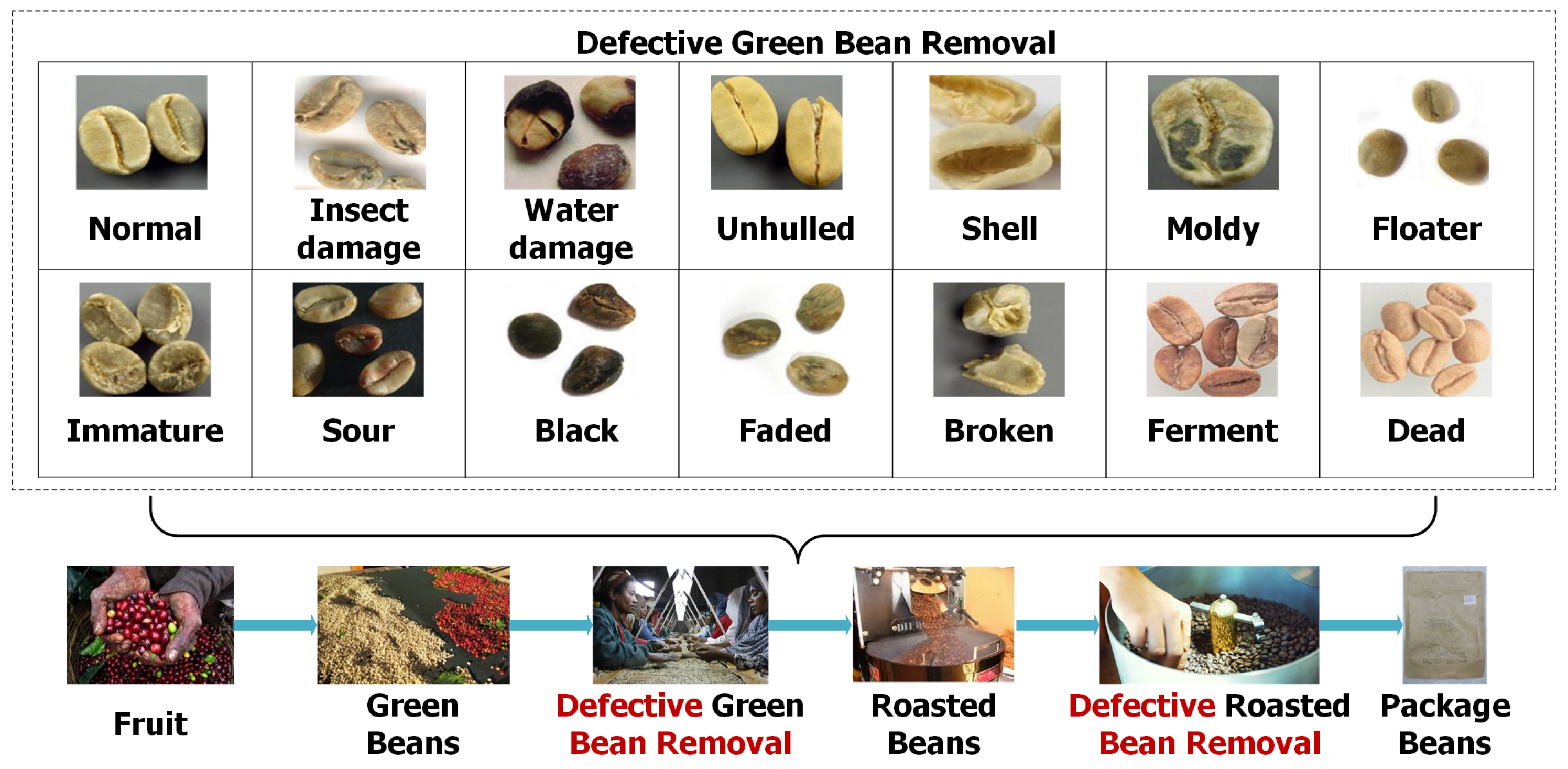 Coffee Defects Chart