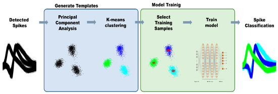 Deep Learning-Based Template Matching Spike Classification for ...